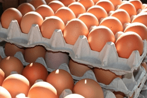 탈모에 좋은 음식08