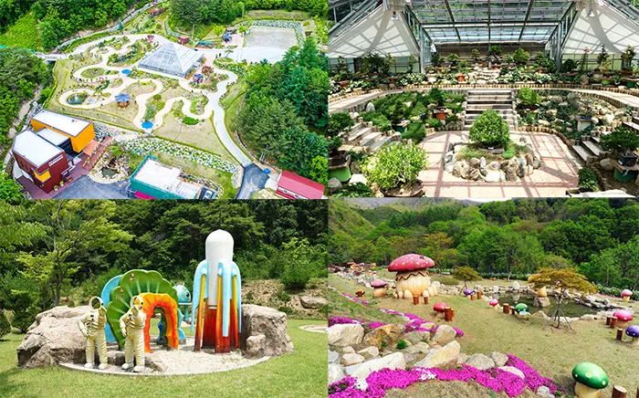 양구 수목원 전경 이미지
