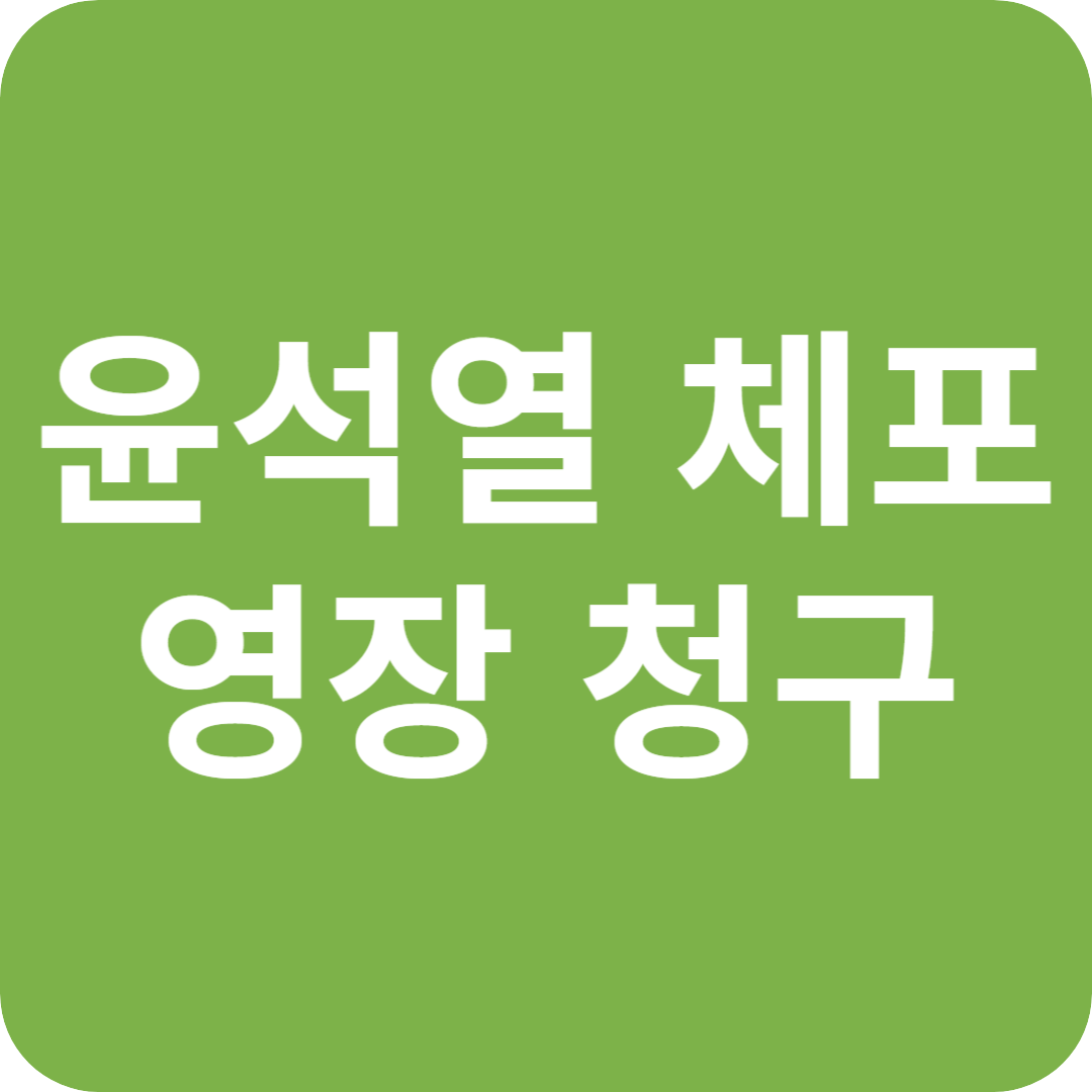 윤석열 전 대통령 체포영장 청구