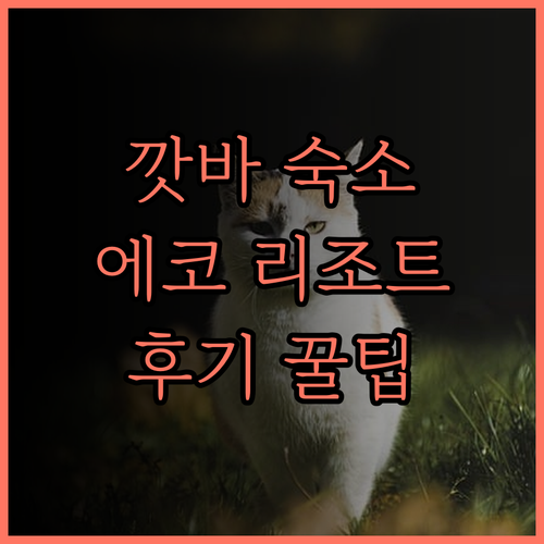 깟 바 에코 로지 리조트 후기 자연