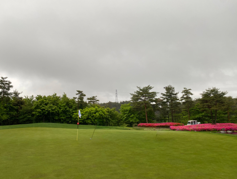 파인리즈CC 봄의 그린