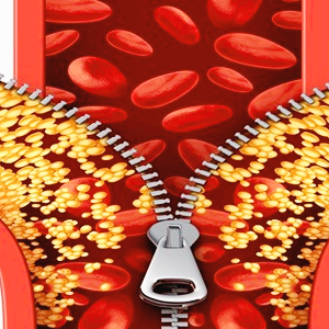 페노피브레이트 관련주 대장주 테마주 수혜주 TOP10