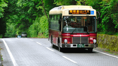 도쿄-근교-여행지-가마쿠라-에노시마-요코하마-하코네-이즈-닛코-카와고에-스이카-애플페이-일본-체크-카드-돈키호테-할인쿠폰