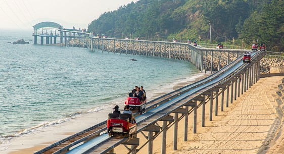 대천 해수욕장(5)