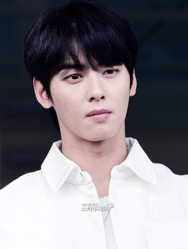 차은우 조세심판원 청구 승소 확률과 행정소송 3대 시나리오 정밀 예측, 낸 돈 130억 다시 돌려받을까?