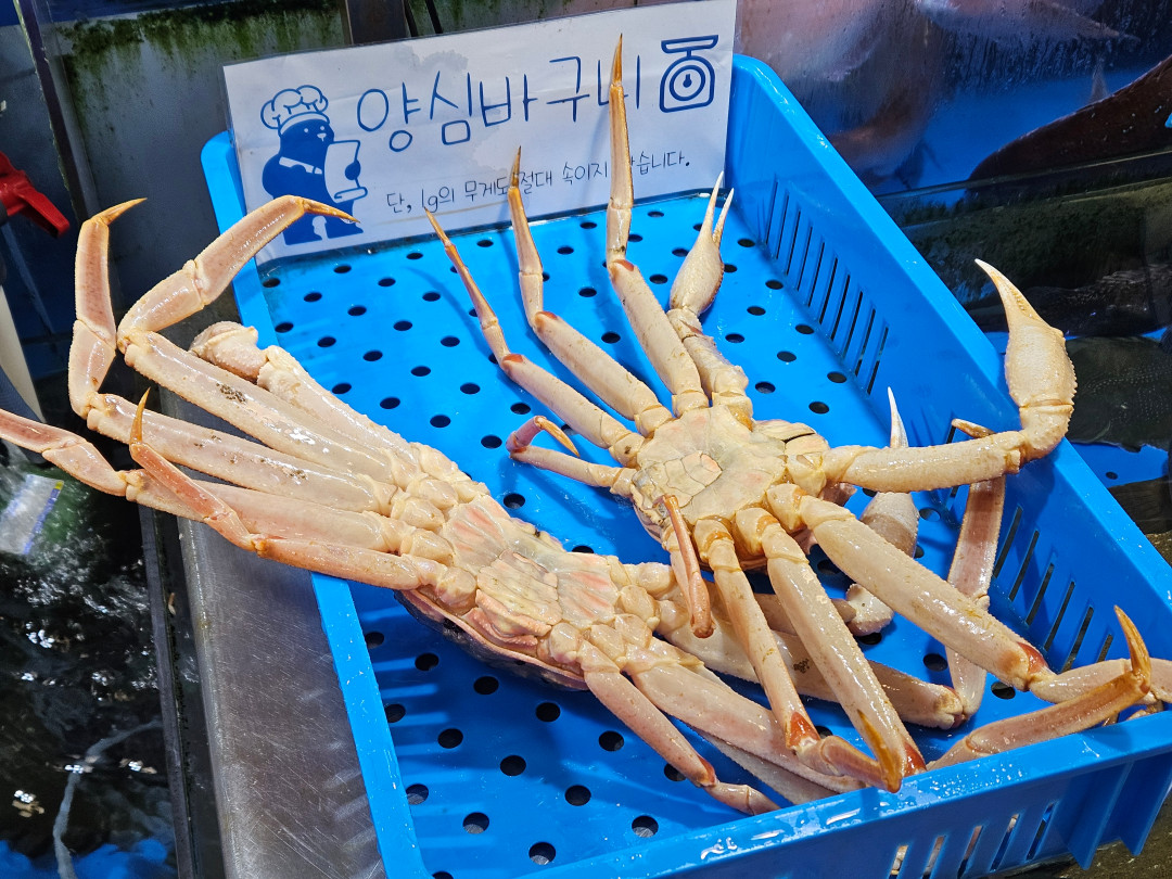 손선장 양심바구니