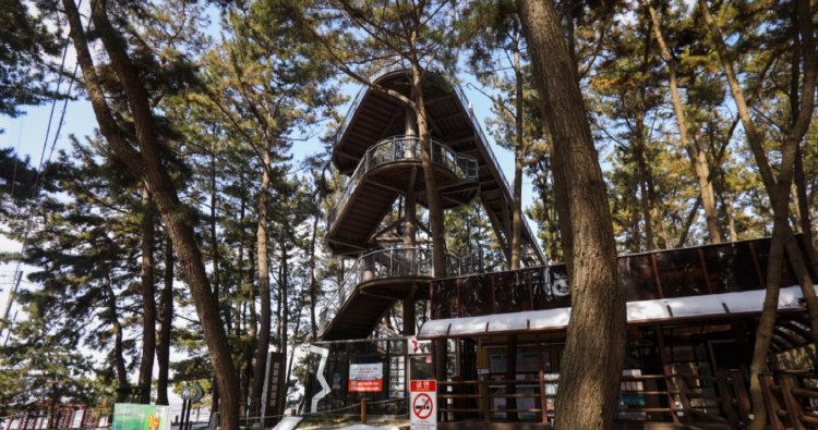 장항송림산림욕장 장항스카이워크