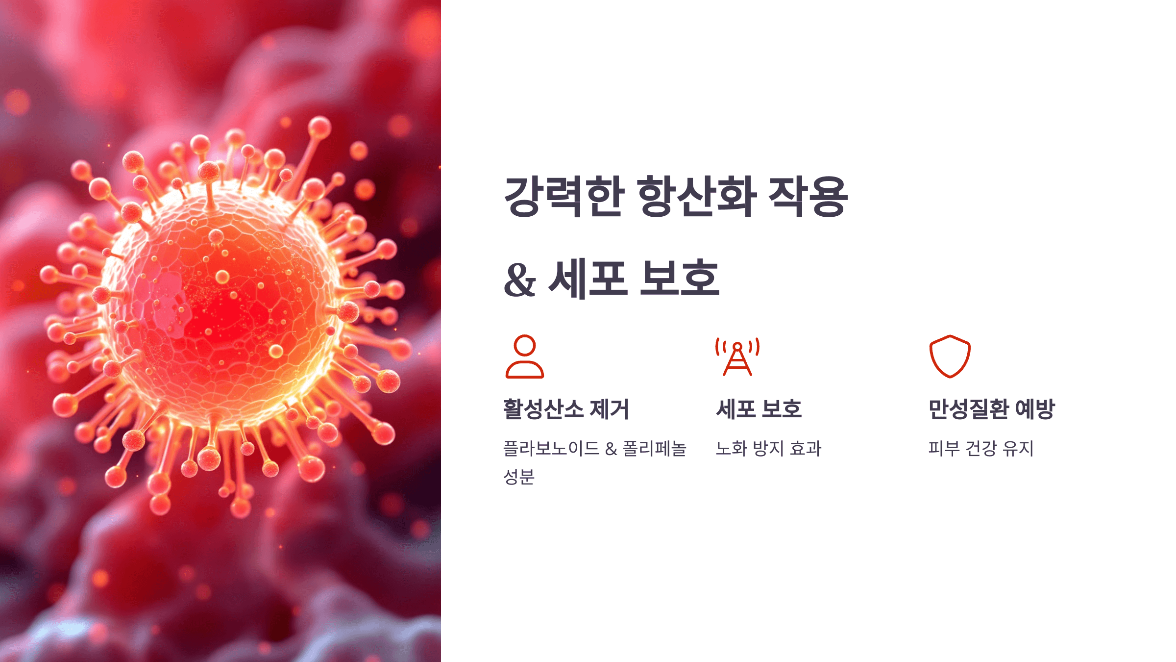 프로폴리스 사진입니다.