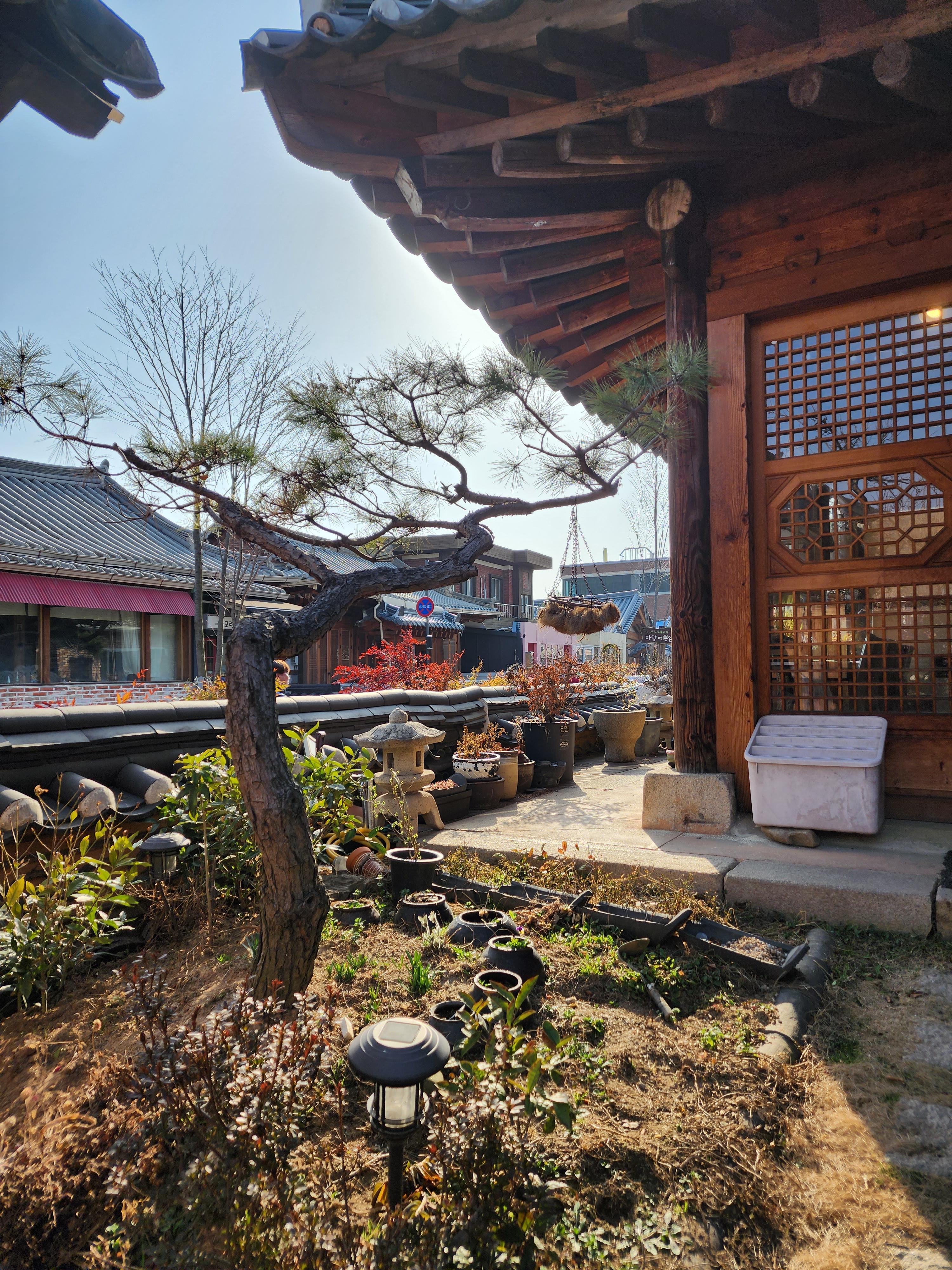 반려견과 전주여행 우전재카페