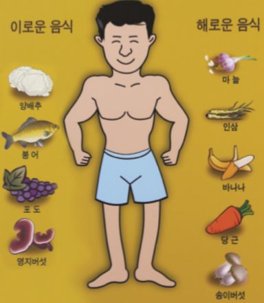 태양인-음식