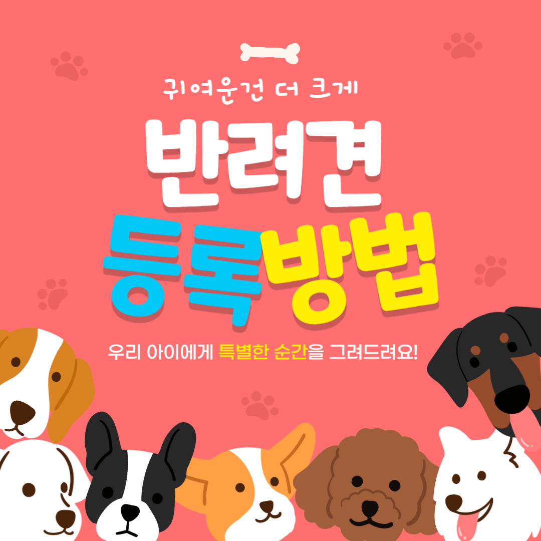 반려견 등록 방법