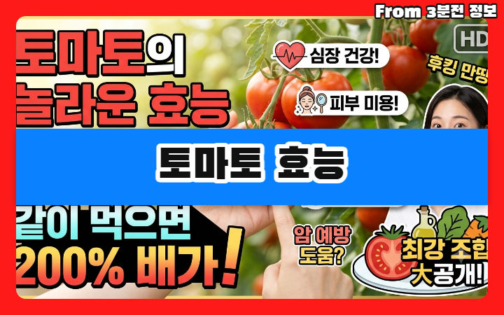 토마토 효능
