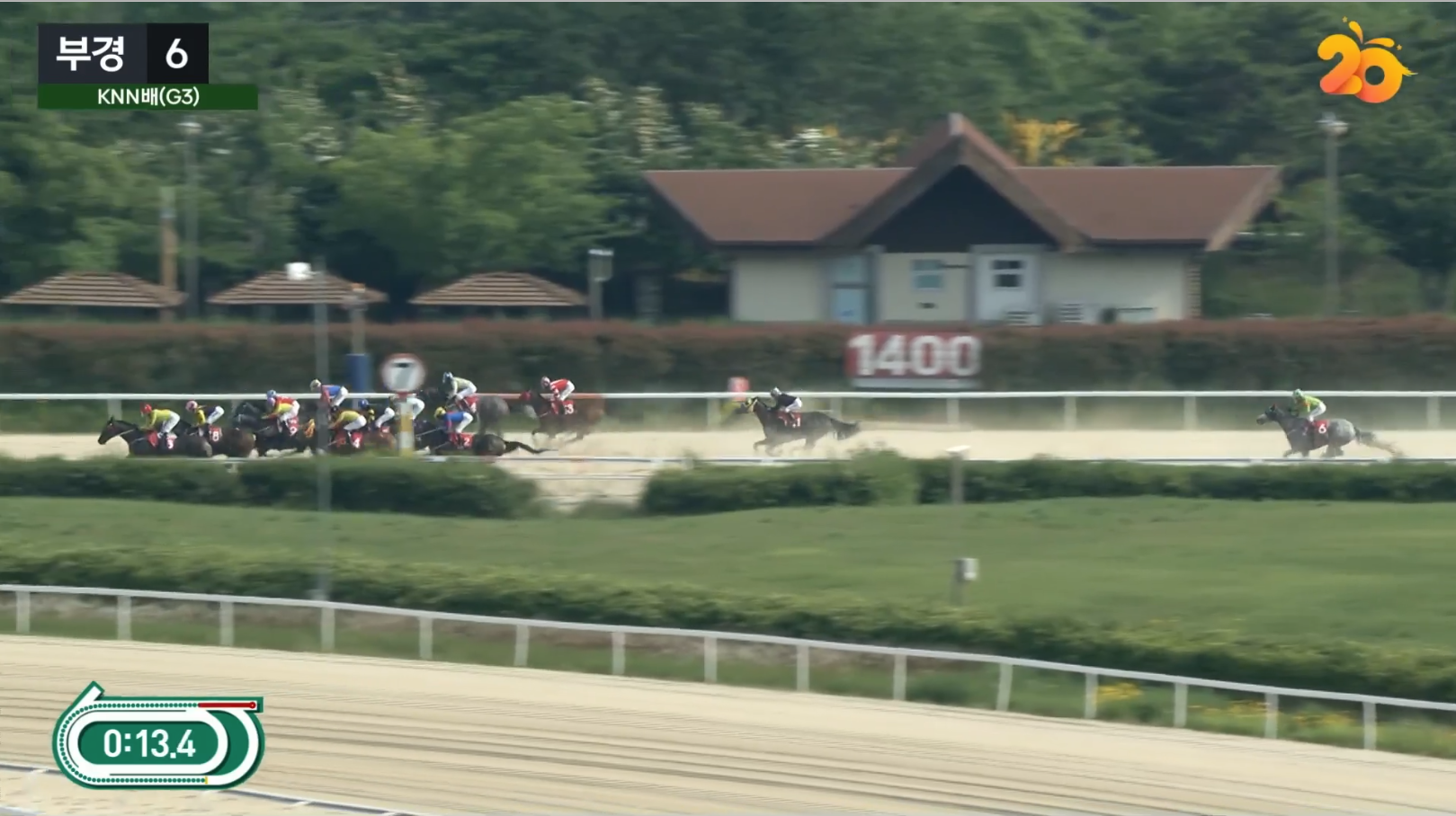 KNN배 대상경주 출발후 200미터 크게 뒤처진 라온포레스트