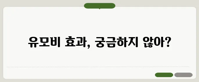 유모비 효과 놓치면 후회해요