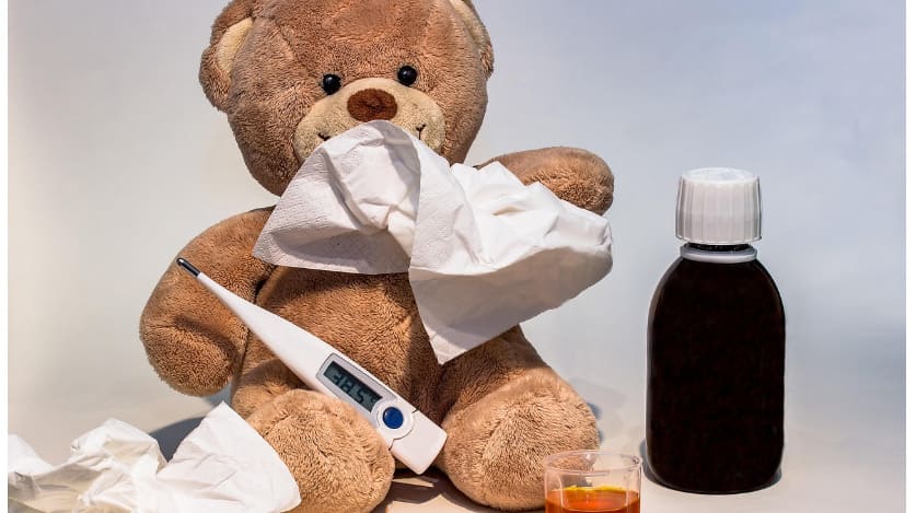 곰인형 화장지 체온계
