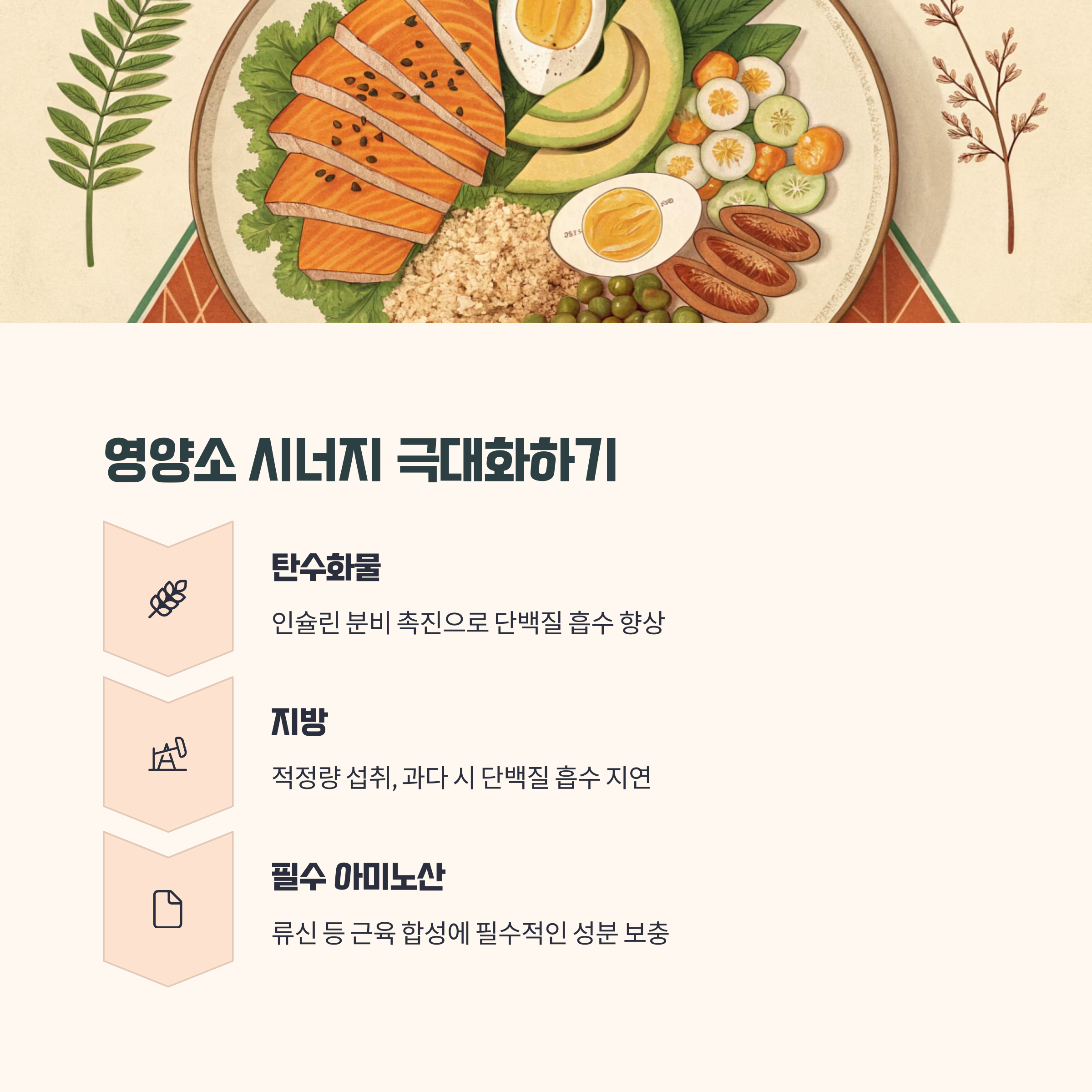 단백질과 다른 영양소의 조화