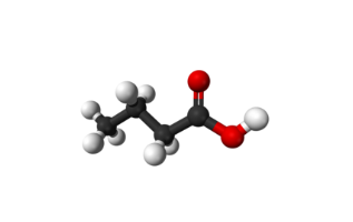 부티르산 화학 구조