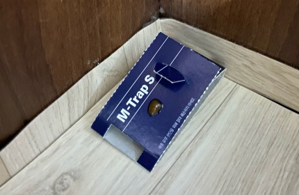 세스코 가정집 비용5