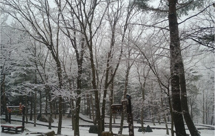 토함산자연휴양림 겨울사진