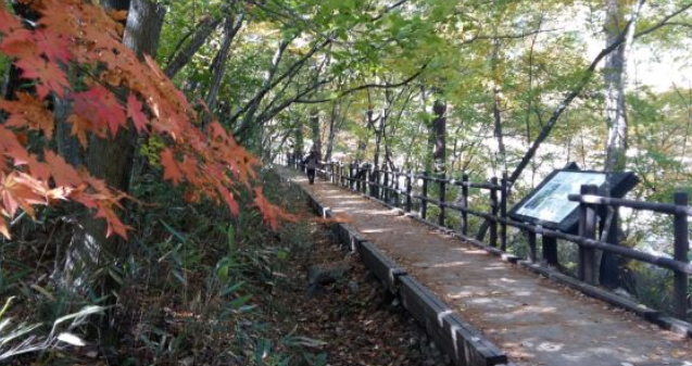 2025 가야산 단풍 절정시기 & 인생샷 명소 + 등산코스 추천