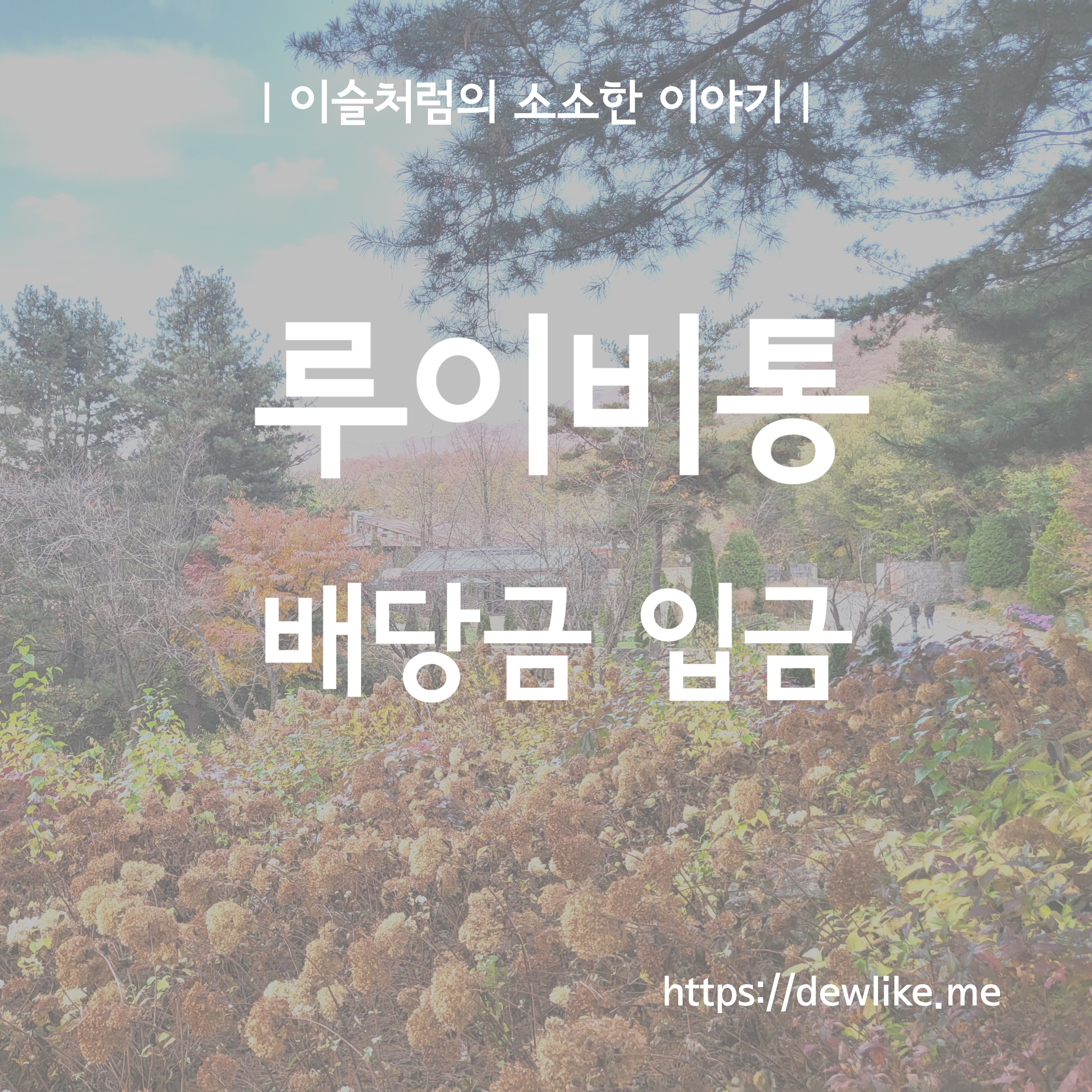 루이비통 배당금 입금