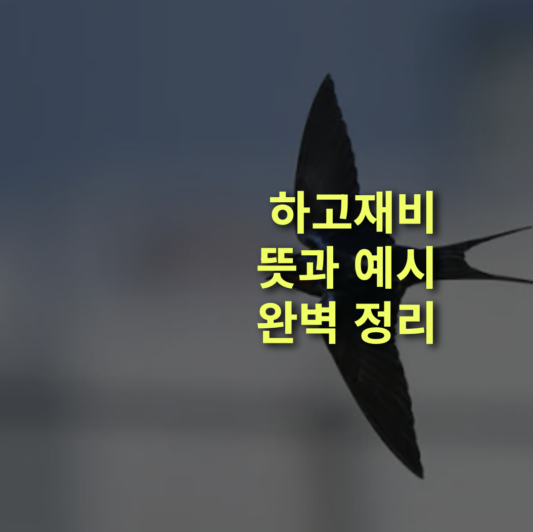 하고재비란? 뜻, 어원, 예시 총정리.