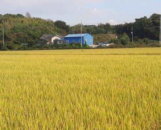 익산 가볼만한곳 베스트10