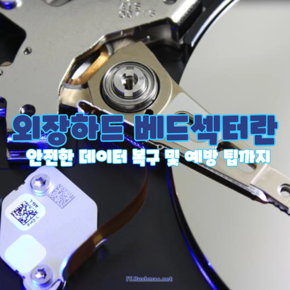 베드섹터란 무엇인가?