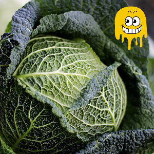 뱃살 빼는 최고의 음식