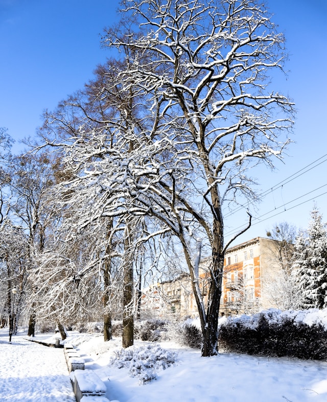 부산 대설특보 희귀 이유와 필수 운전 팁