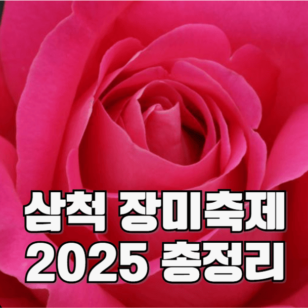 2025 삼척 장미축제 일정, 입장료, 주차장, 맛집 정보