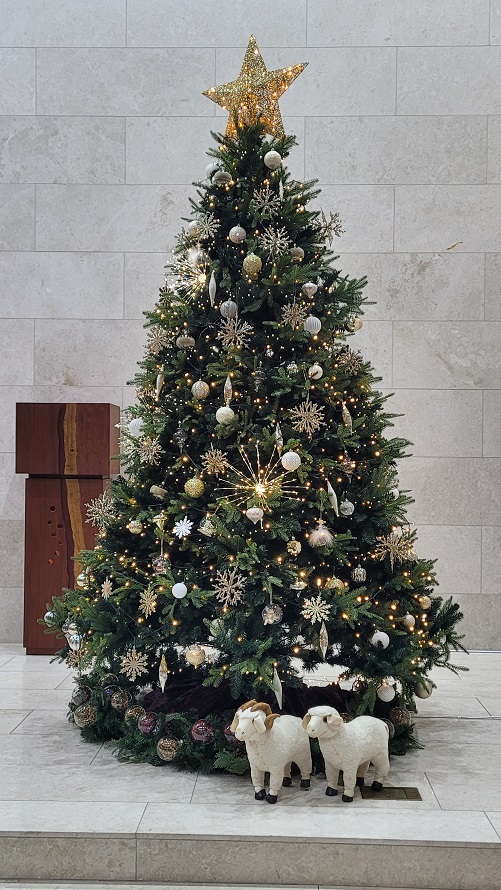 군산 축동성당 크리스마스 트리 장식입니다.