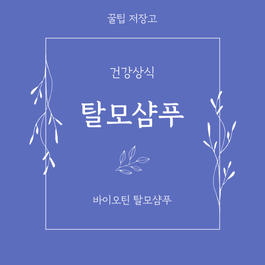 바이오틴 탈모샴푸