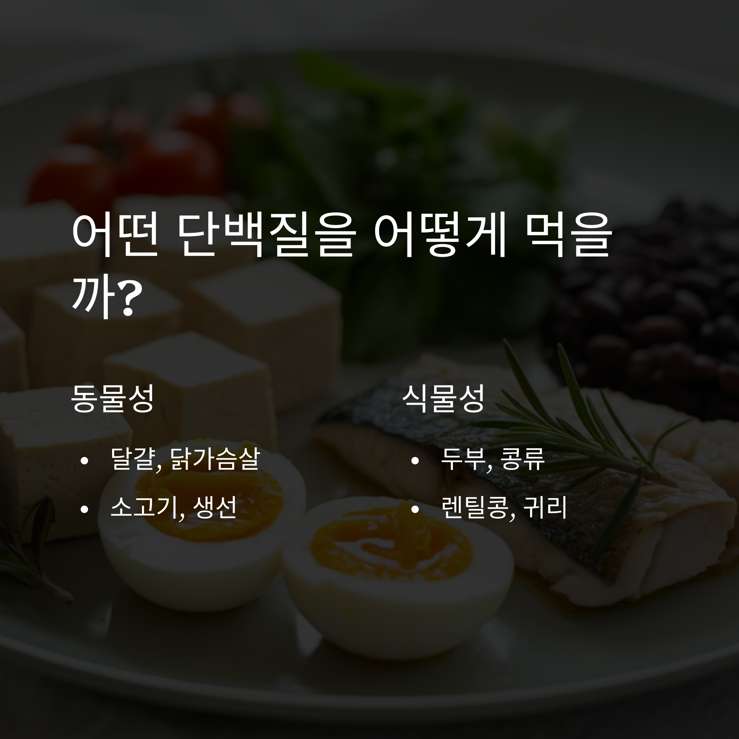 동물성과 식물성 단백질 식품을 소개하며 달걀, 생선, 두부, 콩 등의 이미지와 함께 섭취 방법을 설명한 인포그래픽