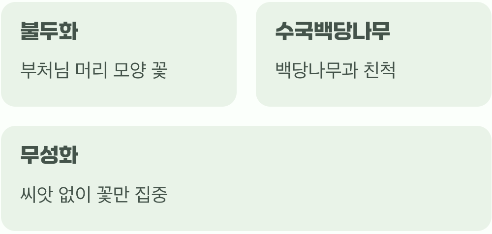 백당나무? 불두화? 설구화? 헷갈리는 이름들