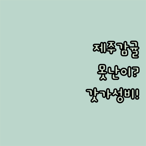 추석 명절 선물 추천 제주감귤 못난이..