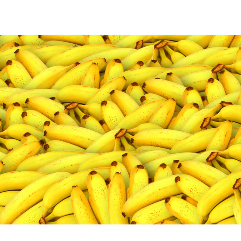 대장내시경 음식