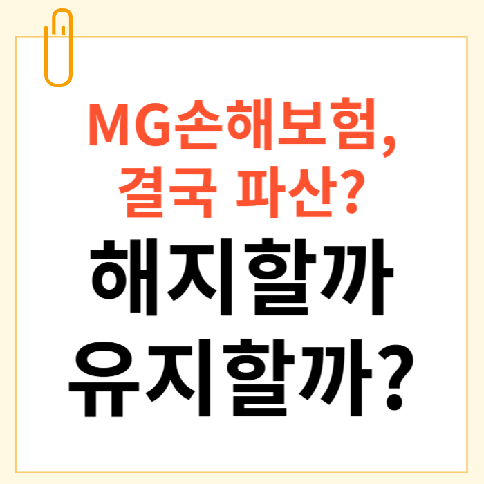 MG손해보험 파산