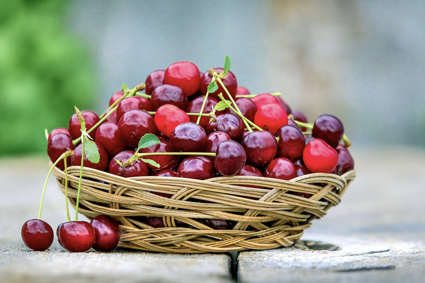 거장의 그림자, 새로운 영감의 씨앗: 지브리 애니메이션 속 오마주와 패러디 분석