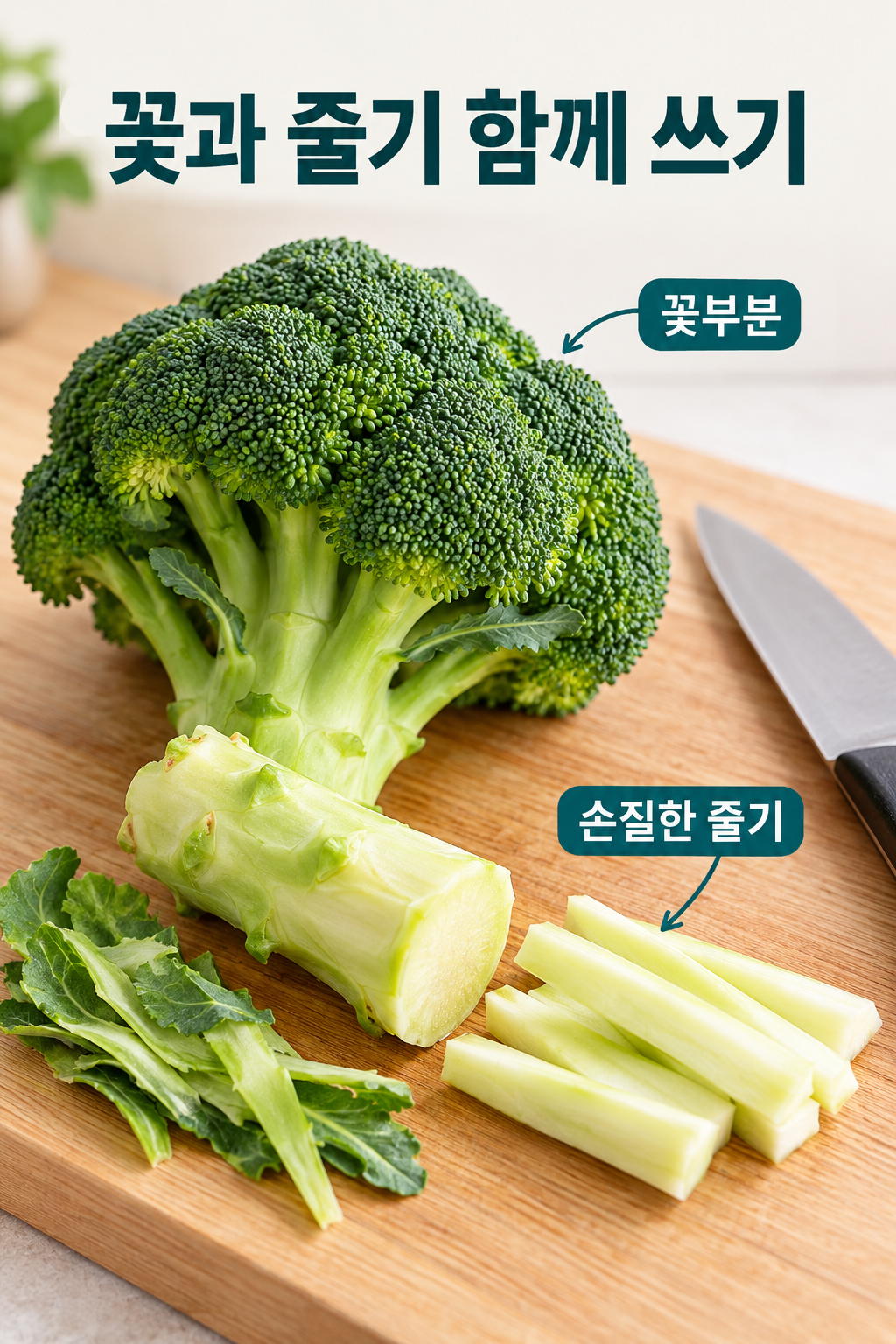 브로콜리 꽃부분과 겉부분을 손질한 줄기의 구분