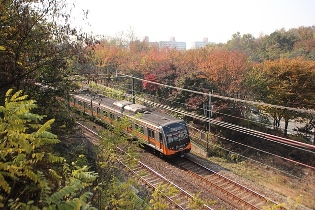 한국 여행