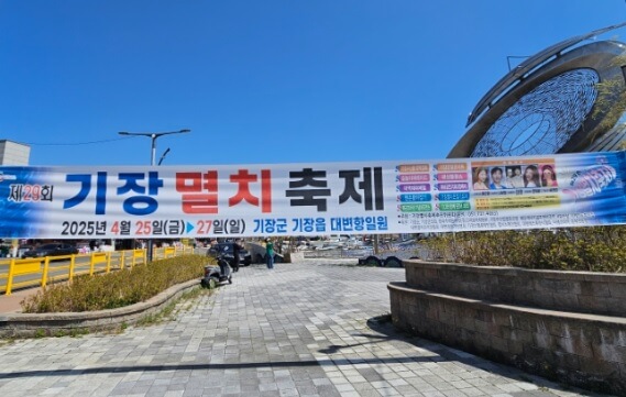 2025 기장멸치축제 대변항 일정 프로그램 교통및 주차안내