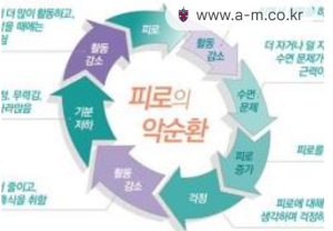 극심한 피로 관리법