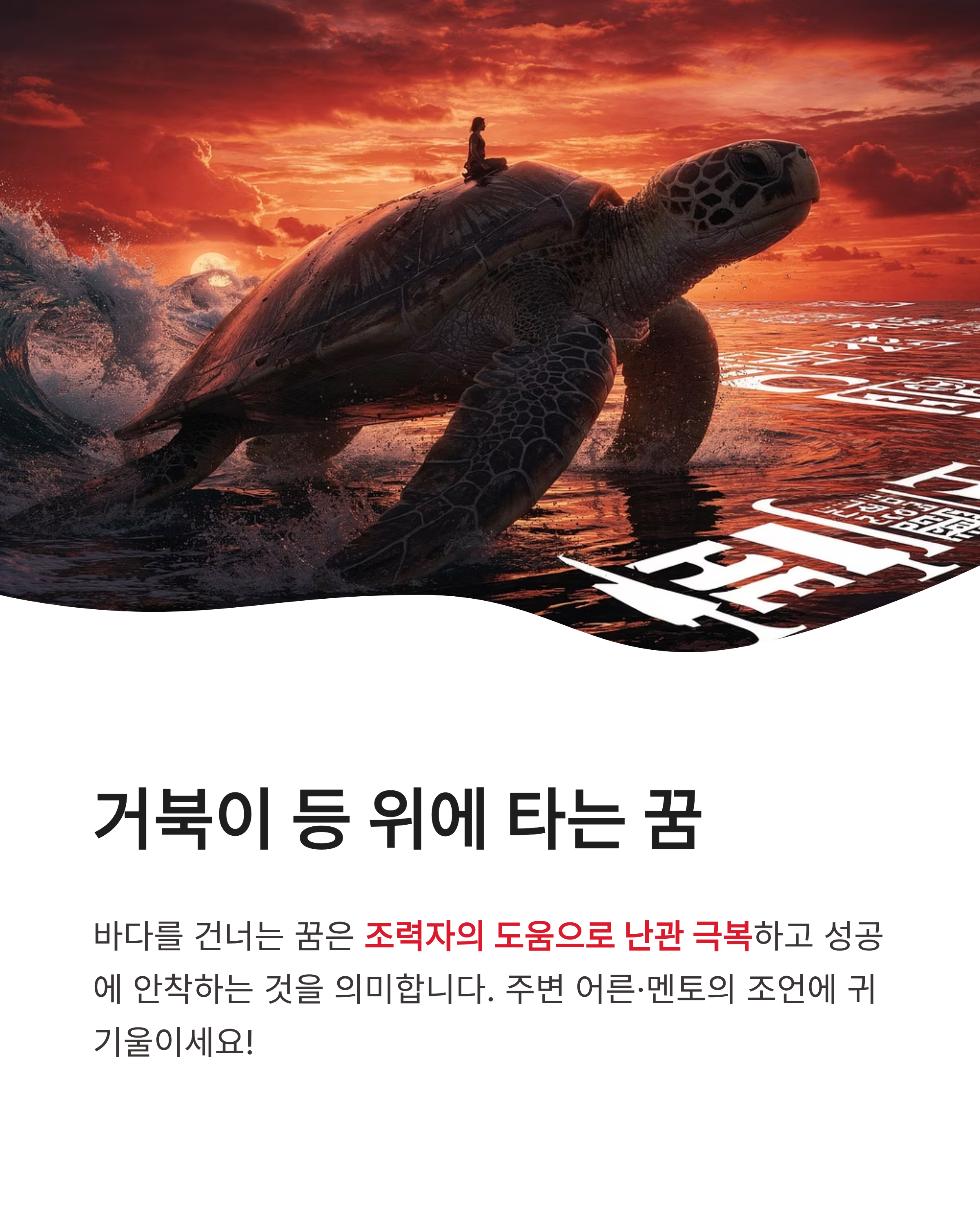 거북이 꿈 해몽 ❘ 집으로 들어오는 큰 거북이 만지는 꿈까지? 장수와 대박 재물운의 상징 완벽 정리!