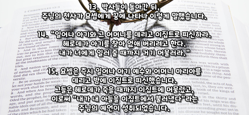 이집트로 피난 (마태 2,13-15)_성모 마리아의 7가지 고통