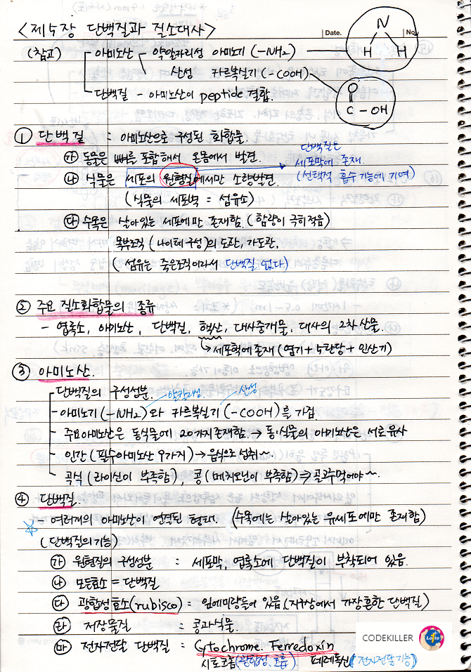 단백질과 질소대사