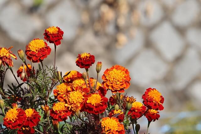 4월 국내 여행지 추천 | 4월 꽃축제 | 전국 벚꽃 명소 | 2025 봄축제