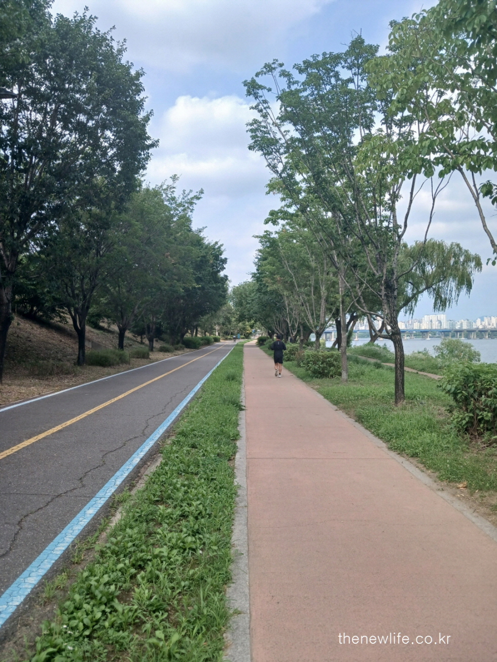A person walking alone on a riverside path surrounded by trees, showing a typical urban walking environment – thenewlife.co.kr-도심 강변 산책로를 걷고 있는 사람의 모습 – 걷기운동 발바닥 물집과 관련된 실제 환경 이미지