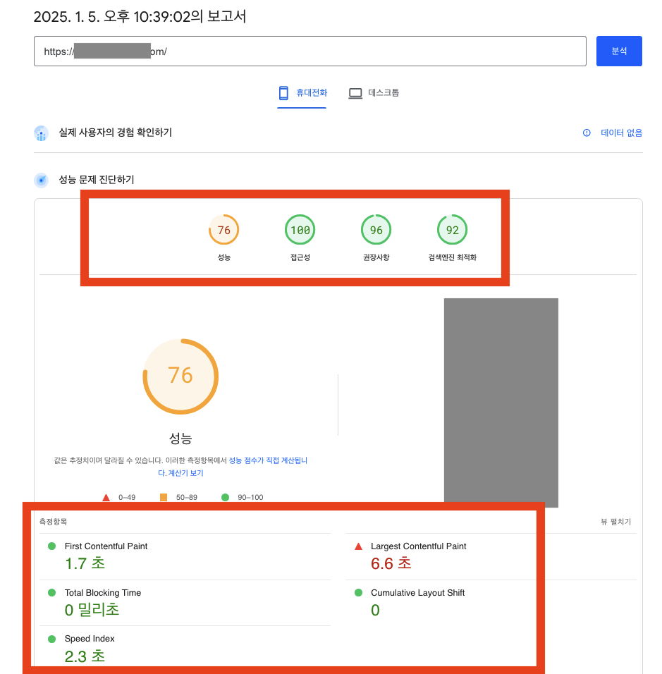 페이지스피드 인사이트 사이트 로딩 속도 결과 비교