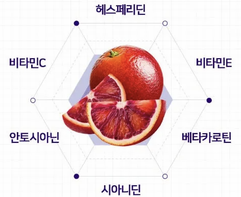 모로오렌지 영양성분 설명 그림 이미지